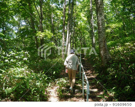 緑溢れる山道を歩く男性(後ろ姿) 91609650