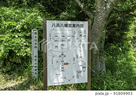 八浜八幡宮　案内図　岡山県玉野市 91609903