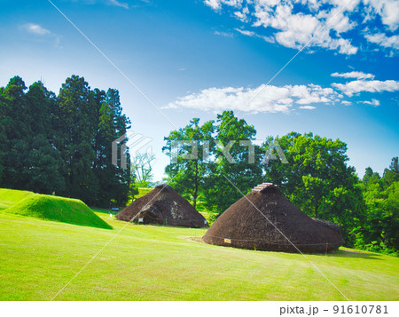 新潟市　花と遺跡のふるさと公園 91610781
