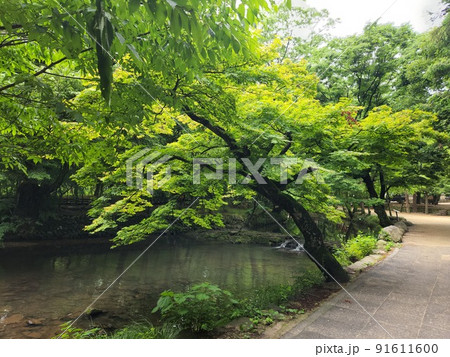 観光 外 景色 91611600