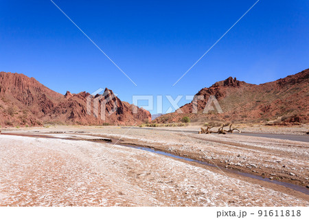 Bolivian canyon near Tupiza,Bolivia 91611818