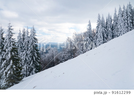 View from the top of mountain on forest in frost and low cloud. 91612299