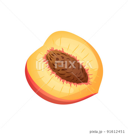 fruit peach cartoon vector 91612451