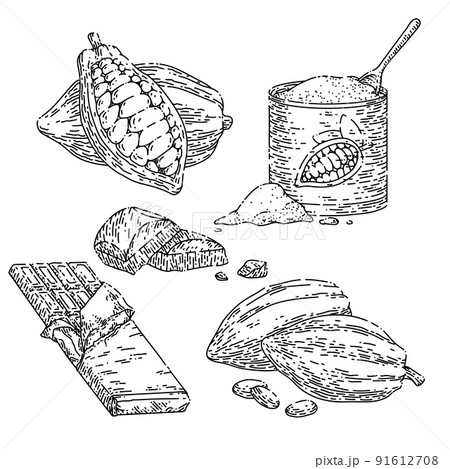 chocolate cocoa set sketch hand drawn vector 91612708