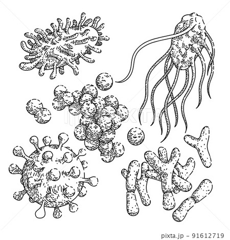 bacteria virus set sketch hand drawn vector 91612719