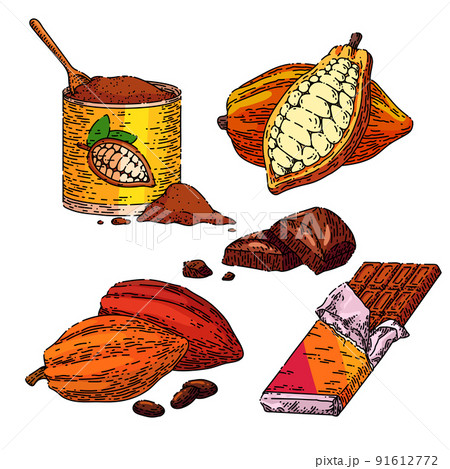 chocolate cocoa set sketch hand drawn vector 91612772