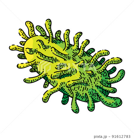 Bacteria Virus Sketch Hand Drawn Vectorのイラスト素材