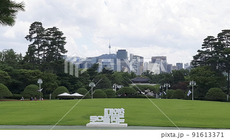 青瓦台 芝生 緑 91613371