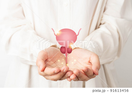 Healthy bladder and prostate gland anatomy on doctor hands. Awareness of BPH, prostate cancer, bladder cancer and men health care. Urology and male reproductive concept. Healthy bladder and prostate gland anatomy on doctor hands. Awareness of BPH, prostate cancer, bladder cancer and men health care. Urology and male reproductive concept. 91613456