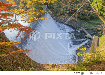 白水ダムの紅葉 白水ダムの紅葉 91613664