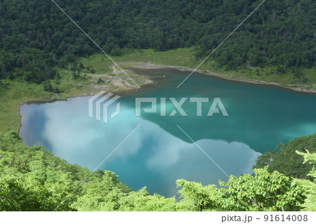 日光白根山登山、湯元ルート、栃木県 日光白根山登山、湯元ルート、栃木県 91614008