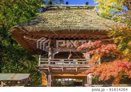 湯布院 佛山寺山門の紅葉 91614264