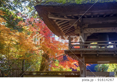 湯布院 佛山寺山門の紅葉 湯布院 佛山寺山門の紅葉 91614267