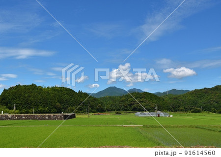 阿波海南の風景　徳島 91614560