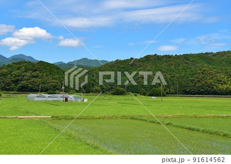 阿波海南の風景　徳島 91614562