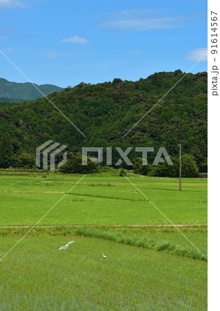 阿波海南の風景 徳島 阿波海南の風景 徳島 91614567