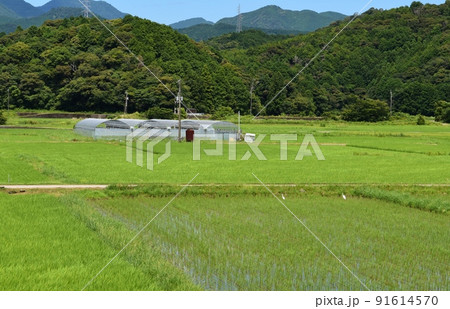 阿波海南の風景 徳島 阿波海南の風景 徳島 91614570
