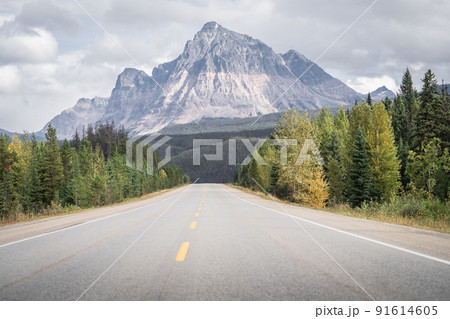 Deserted alpine highway leading to the prominent mountain in the background, Jasper NP, Canada Deserted alpine highway leading to the prominent mountain in the background, Jasper NP, Canada 91614605