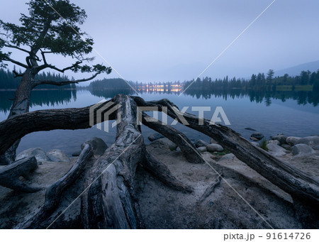 Hazy dusk alpine lake with big tree roots in foreground, Jasper NP, Canada Hazy dusk alpine lake with big tree roots in foreground, Jasper NP, Canada 91614726