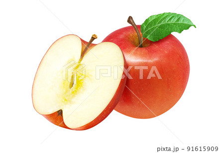 りんご リンゴ イラスト リアル セット 91615909