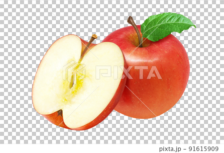りんご リンゴ イラスト リアル セット 91615909