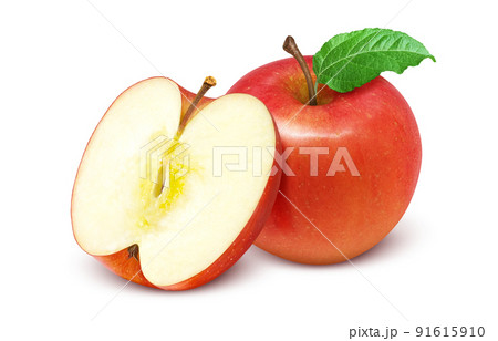 りんご リンゴ イラスト リアル セット 91615910