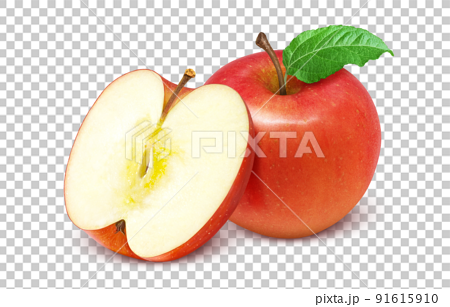 りんご リンゴ イラスト リアル セット 91615910