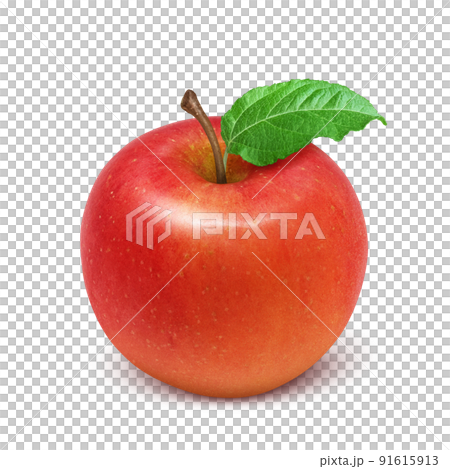 Apple apple illustration real Apple apple illustration real 91615913