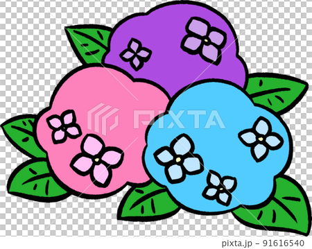 Three-color simple hydrangea ① Hand-drawn style illustration material Three-color simple hydrangea ① Hand-drawn style illustration material 91616540