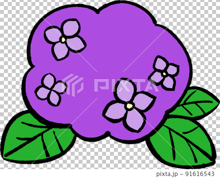 Simple hydrangea ① Hand-drawn style illustration material Simple hydrangea ① Hand-drawn style illustration material 91616543