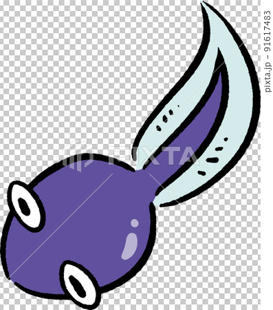 上から見たかわいいおたまじゃくし 手描き風イラスト素材 上から見たかわいいおたまじゃくし 手描き風イラスト素材 91617483