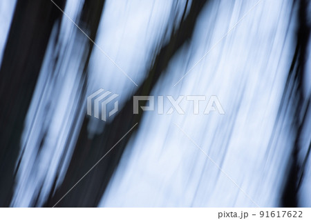 Blur abstract bare tree branches on a pale white background. Black silhouette of a bare tree blur template design Blur abstract bare tree branches on a pale white background. Black silhouette of a bare tree blur template design 91617622