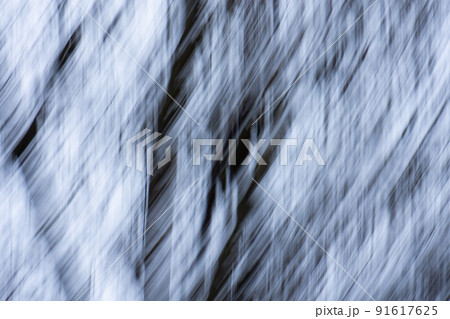 Abstract bokeh background with naked trees silhouettes Abstract bokeh background with naked trees silhouettes 91617625
