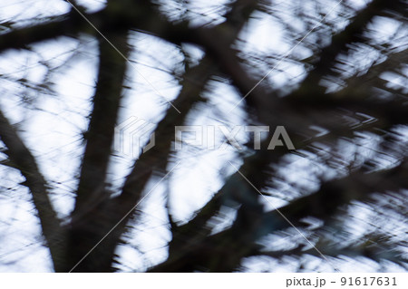 Bare black tree branches blurry unfocused photographic effect Bare black tree branches blurry unfocused photographic effect 91617631