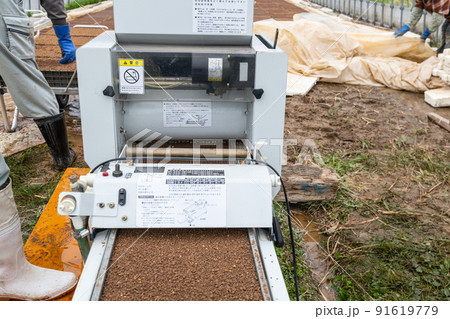 稲作育苗ハウスで種まき機よる種まき 91619779