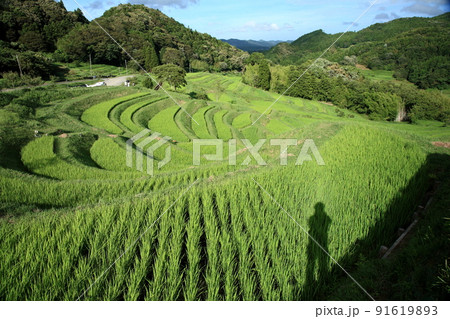 日本の田園風景 日本の田園風景 91619893