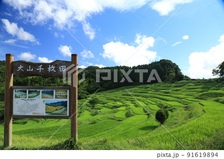 日本の田園風景 日本の田園風景 91619894