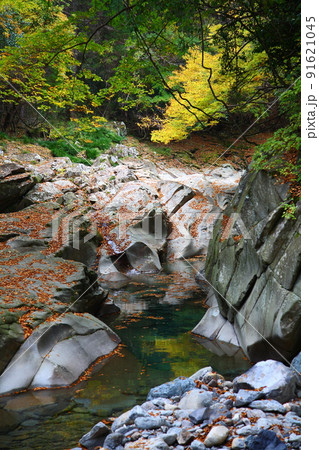 川と紅葉（大分県豊後大野市） 91621045