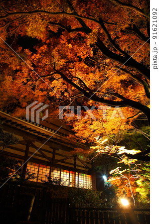普現寺の紅葉ライトアップ(大分県臼杵市野津町) 普現寺の紅葉ライトアップ(大分県臼杵市野津町) 91621092
