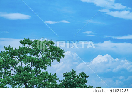 青空と雲 91621288