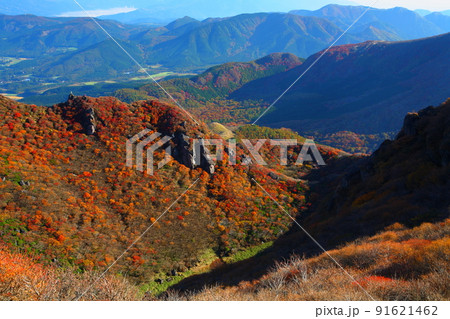 山の紅葉(大分県九重町) 山の紅葉(大分県九重町) 91621462