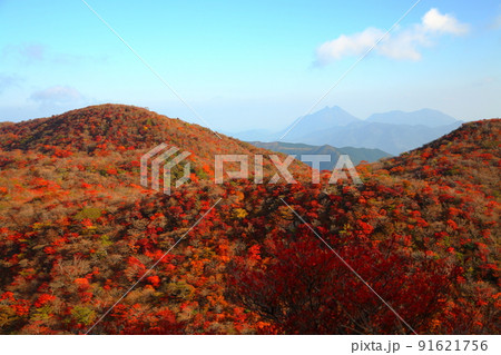 山の紅葉（大分県竹田市） 91621756