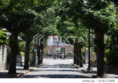 田園調布駅前 田園調布駅前 91621986