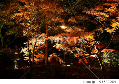 宝生寺の紅葉ライトアップ(大分県豊後大野市) 宝生寺の紅葉ライトアップ(大分県豊後大野市) 91622064