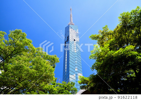 福岡　都市風景　福岡タワー 91622118