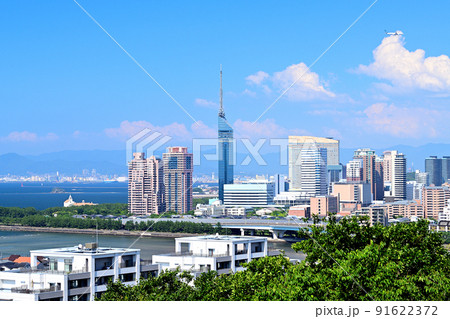 福岡　都市風景　福岡タワー 91622372
