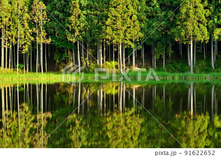 朝の龍王が淵 91622652