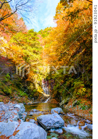 尾白川渓谷（秋）：千ヶ淵 91623041