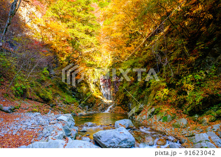 尾白川渓谷(秋):千ヶ淵 尾白川渓谷(秋):千ヶ淵 91623042