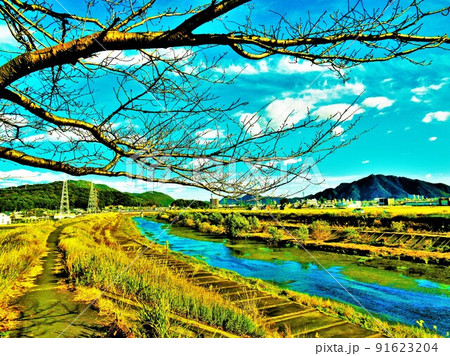 異彩・秋の土手の風景 異彩・秋の土手の風景 91623204